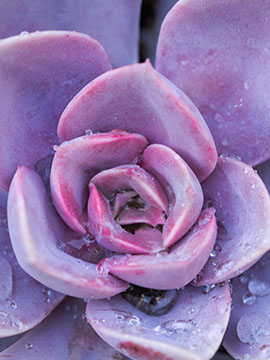 Test 7