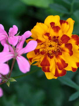 Test 4
